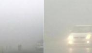 Dense fog engulfs Delhi-NCR, train, flight services affected