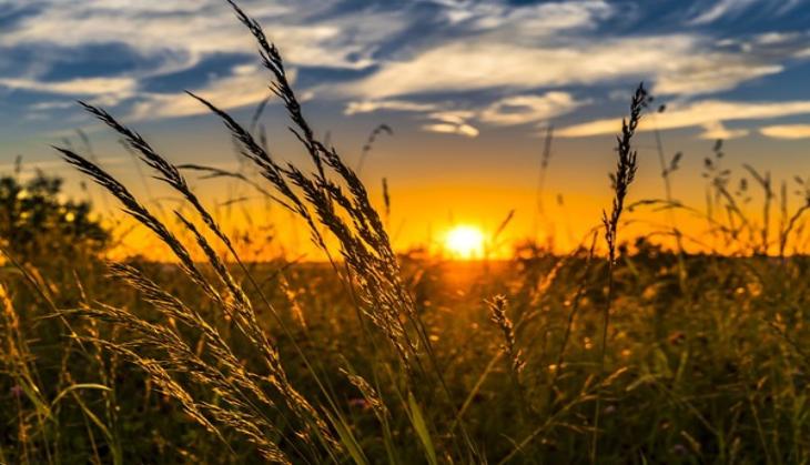 Citizens for agriculture-oriented Union Budget