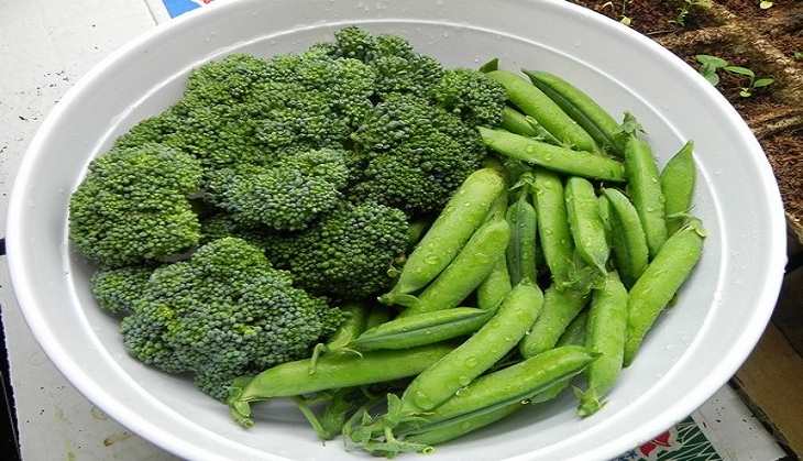 Did you know? Peas, broccoli may cut obesity