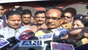 Cabinet reshuffle aimed at fetching better results: Chouhan
