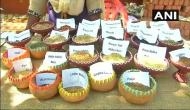 More than 5,000 varieties of seeds showcased in Hyderabad festival