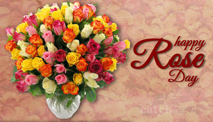 Rose Day 2018: This Valentine week know what each colour of the 'Rose' mean