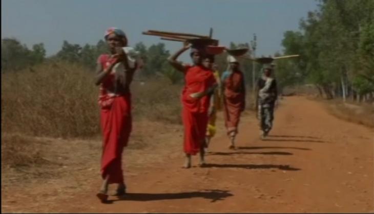 Tribal village in Chhattisgarh takes up community farming