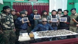 Pangolin scales seized, 4 held