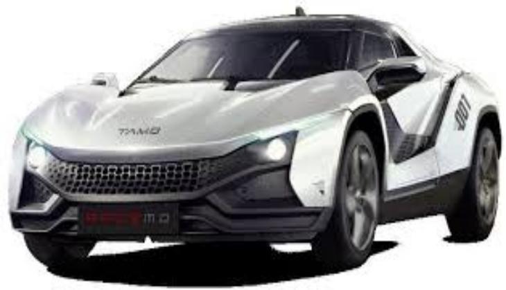 TATA RACEMO