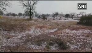 Maharashtra: Rain, hailstorm lash Jalna