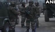 J-K: One terrorist gunned down by security forces in Sopore encounter; operation underway