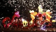 In photos: Chinese New Year of the dog