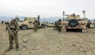 Afghan forces kill 25 insurgents: MoD
