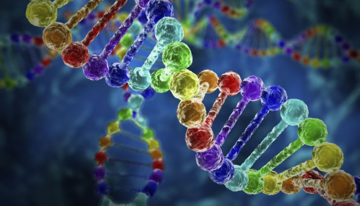 Genomic study may help solve ‘Indian Enigma’ relating to gastric bacteria 