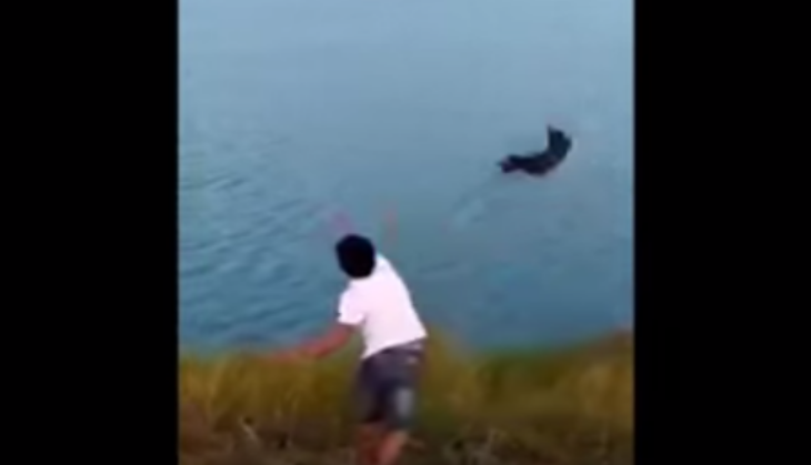 boy throw puppy