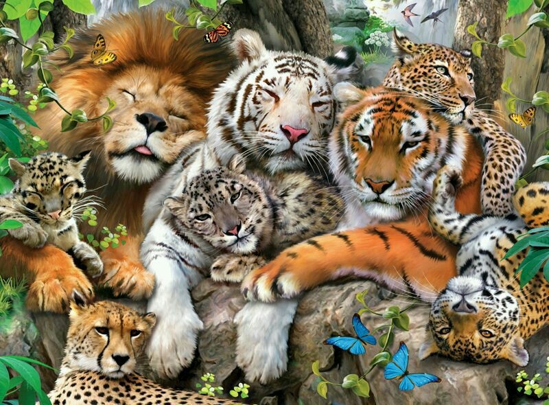 Biggest cat in cat family 2025