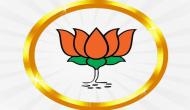 JDS-Cong Govt in Karnataka paralysed: BJP