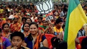 Why mainstream parties disqualify a tribal for leadership in tribal-dominated states