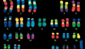 Government allocates Rs 100 crore towards genetic disorders