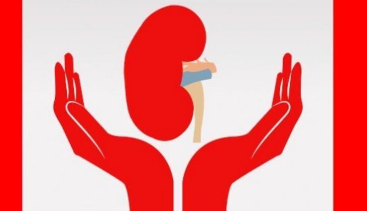 Kidney diseases in women