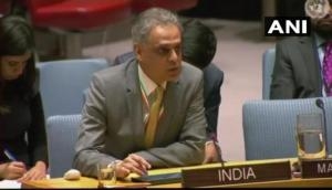 India slams Pak for nurturing terrorism at United Nations Security Council