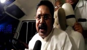 Dhinakaran to announce name of his political party next week