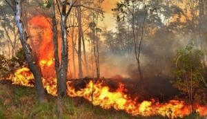 After Uttarkashi Another forest fire in Uttarakhand