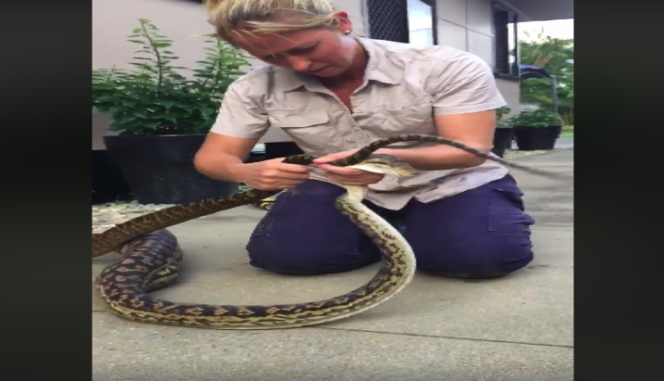 woman with python