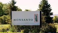 Agriculture ministry cuts Monsanto’s Bt cotton seed royalty, may trigger another row