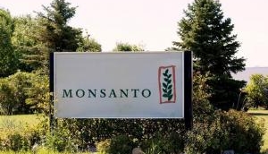 Agriculture ministry cuts Monsanto’s Bt cotton seed royalty, may trigger another row