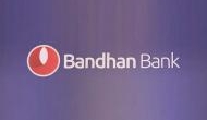Bandhan Bank: Largest Initial Public Offering subscribed 42% on opening day