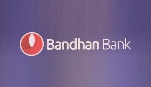 Bandhan Bank shares crash 20% as RBI bars company from opening new branches