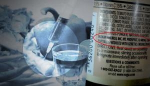 Beware of that branded food packet. It may have GM ingredient inside