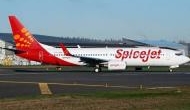 SpiceJet aircraft hits runway lights at Bengaluru International Airport