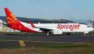 Delhi-bound SpiceJet flight returns back after bird hit, alternate plane being arranged 
