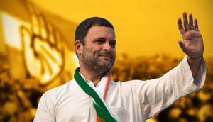 Congress will take the country forward: Rahul Gandhi