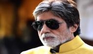 Amitabh Bachchan finds his new on-set companion; shares adorable picture