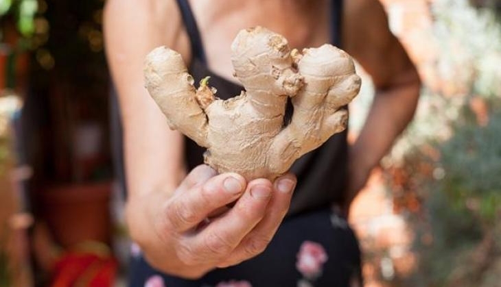 ginger