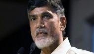 Govt cannot stop us by putting us under house arrest: Chandrababu Naidu