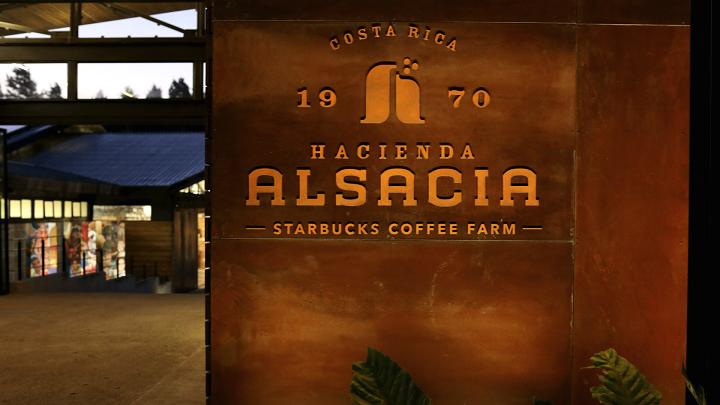 Starbucks turns Costa Rica farm into a travel destination for public 