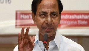 Telangana CM pitches for healthy environment