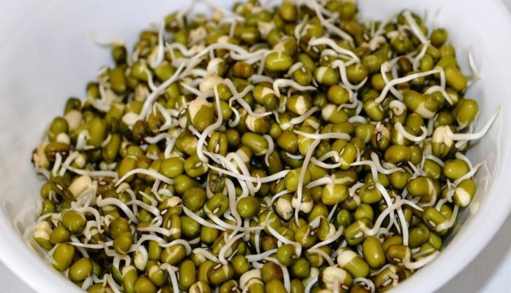 For good health eat sprout