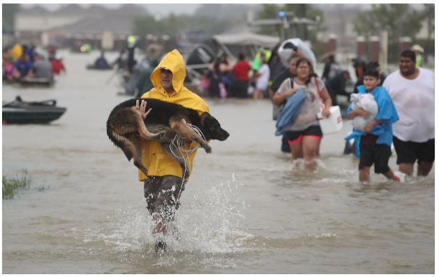 Houston‬ Hurricane Harvey‬‬ aftermath: Underground tunnel proposed to manage a flood situation 