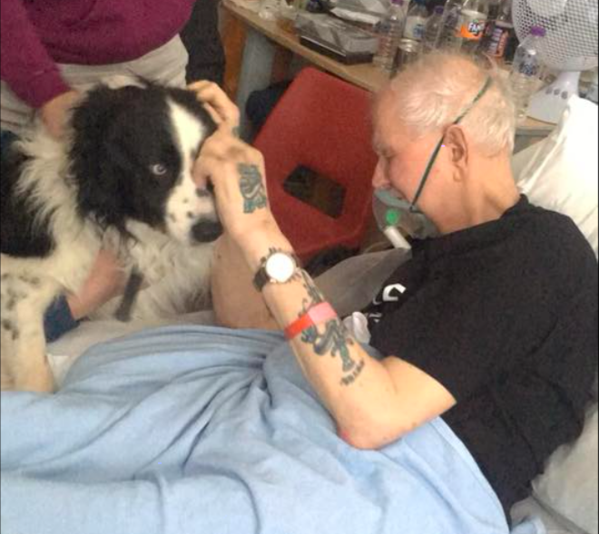 Watch heartbreaking video of dying man kiss his dog goodbye