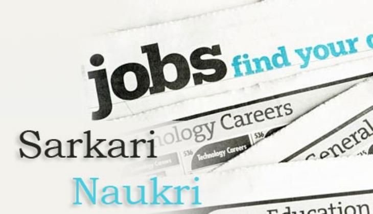 govt job