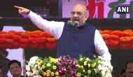 Amit Shah ridicules Opposition unity, likens them to 'dogs and bitches'