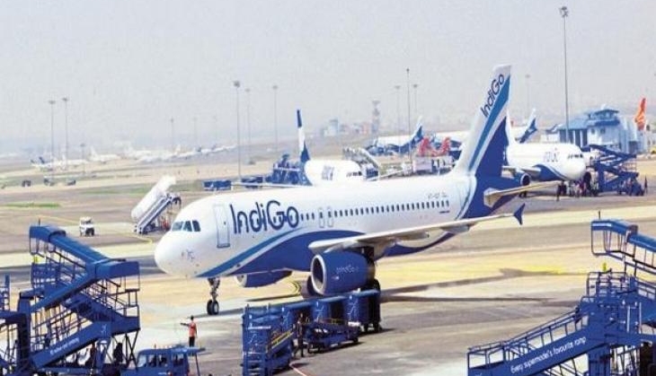 Indigo