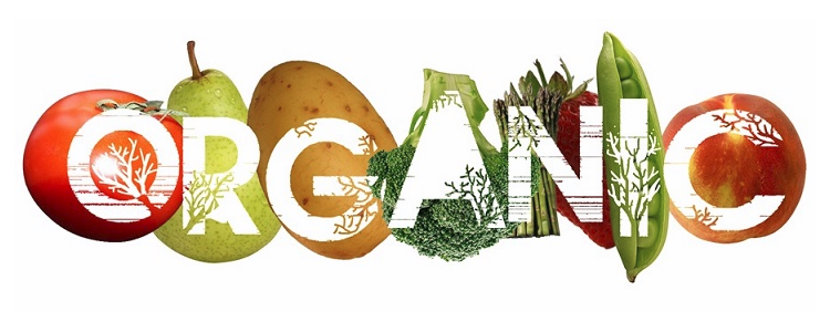 World Health Day 2018: Choose organic food for healthier living