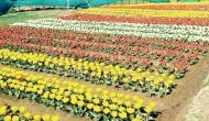 Jammu gets its first tulip garden at Sanasar
