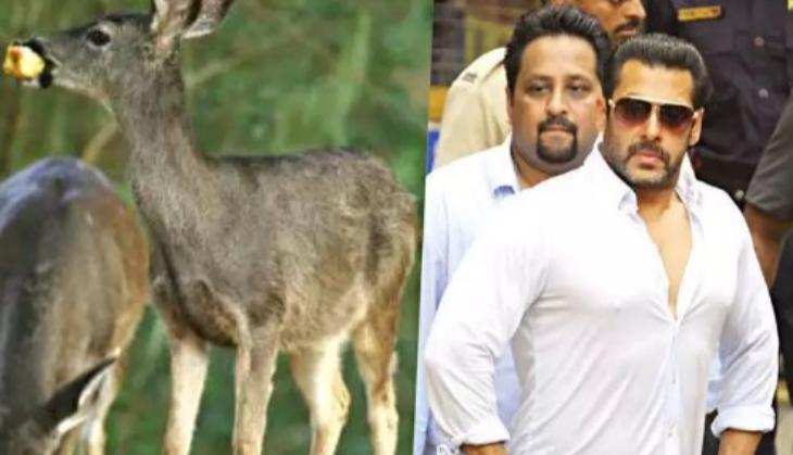 blackbuck poaching case