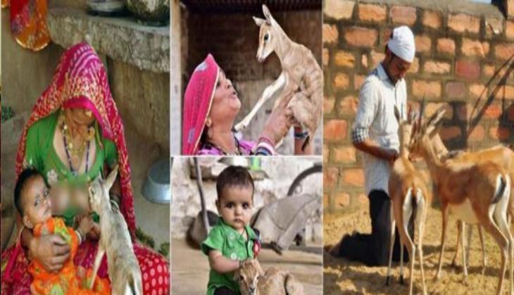 bishnoi community