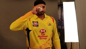 Video: Harbhajan Singh's celebration after taking Suryakumar Yadav's catch will give you a shock; maybe he forget he played for MI