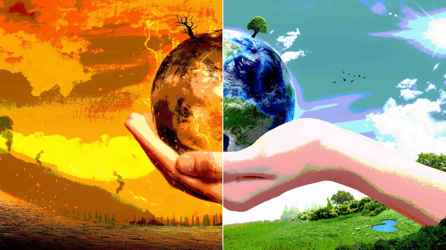 Royal Dutch Shell documents predicted climate change in 1988