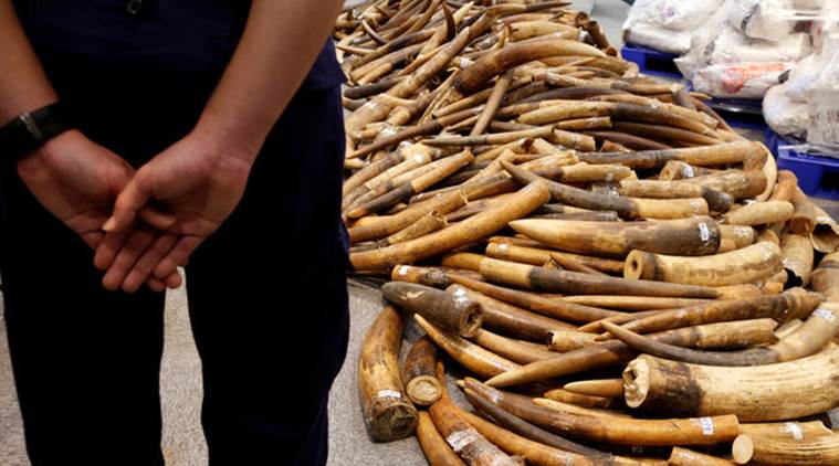 Facebook advertises illegal body part of threatened animals